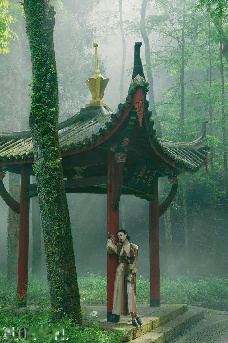 专家建议“暂缓IPO”,VC投资人:专家别建议